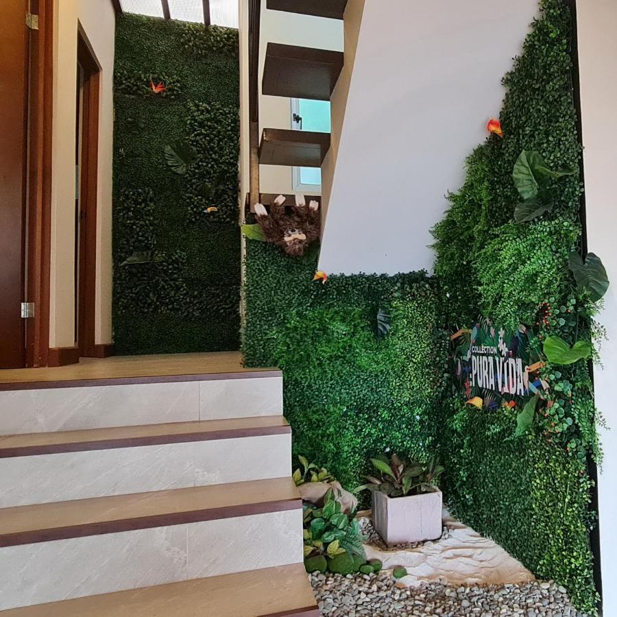 Cozy Private Apartment, Mirador Escazu -Great View- Escazú Exterior foto
